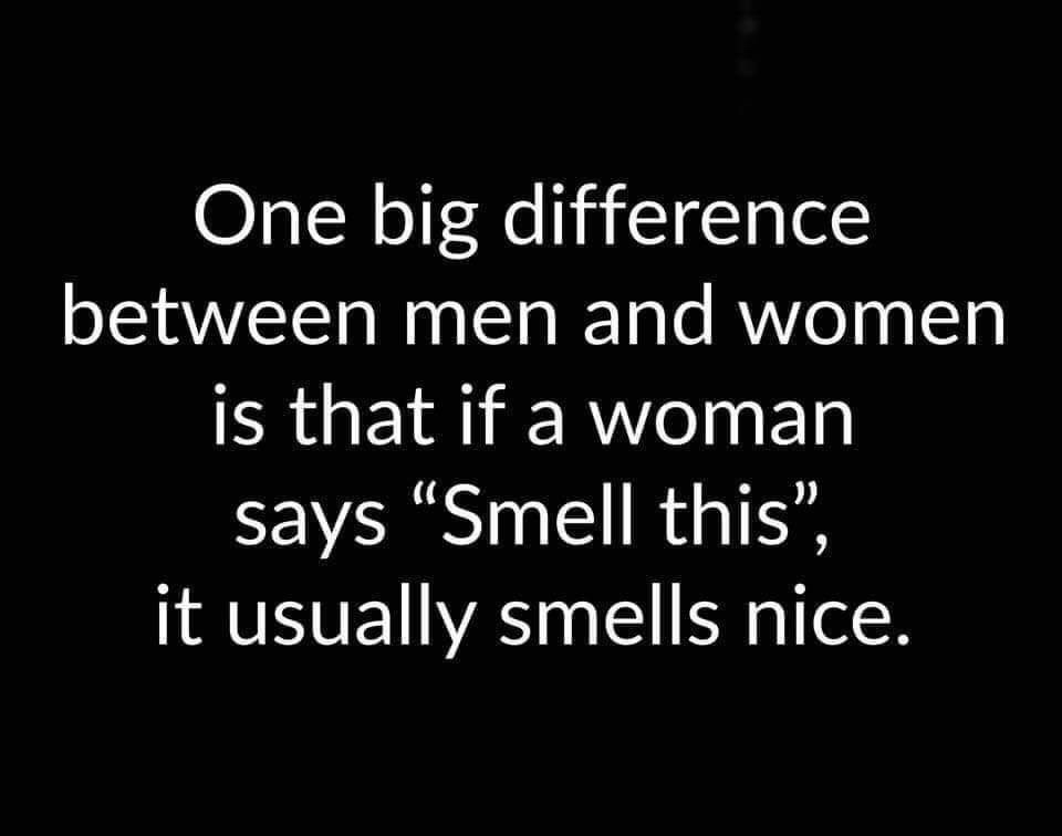 men women smell meme - One big difference between men and women is that if a woman says Smell this", it usually smells nice.