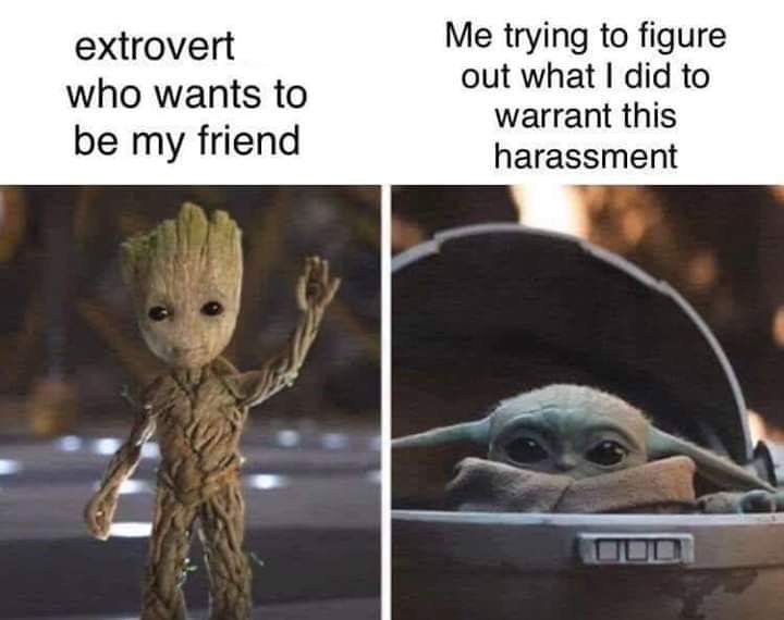 baby yoda introvert meme - extrovert who wants to be my friend Me trying to figure out what I did to warrant this harassment