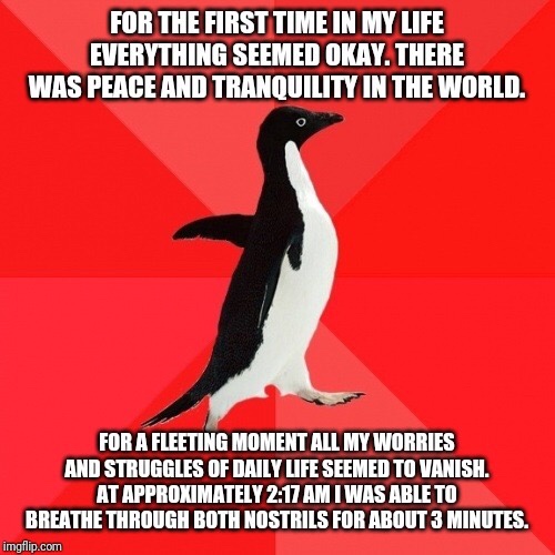 socially awesome penguin - For The First Time In My Life Everything Seemed Okay. There Was Peace And Tranquility In The World. For A Fleeting Moment All My Worries And Struggles Of Daily Life Seemed To Vanish. At Approximately I Was Able To Breathe Throug