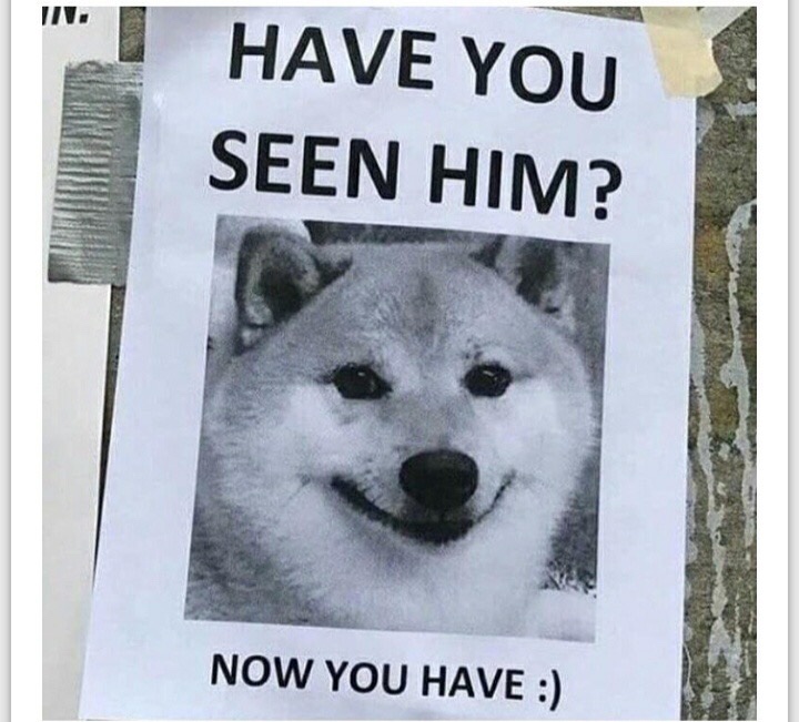 have you seen this man now you have - Iv. Have You Seen Him? Now You Have