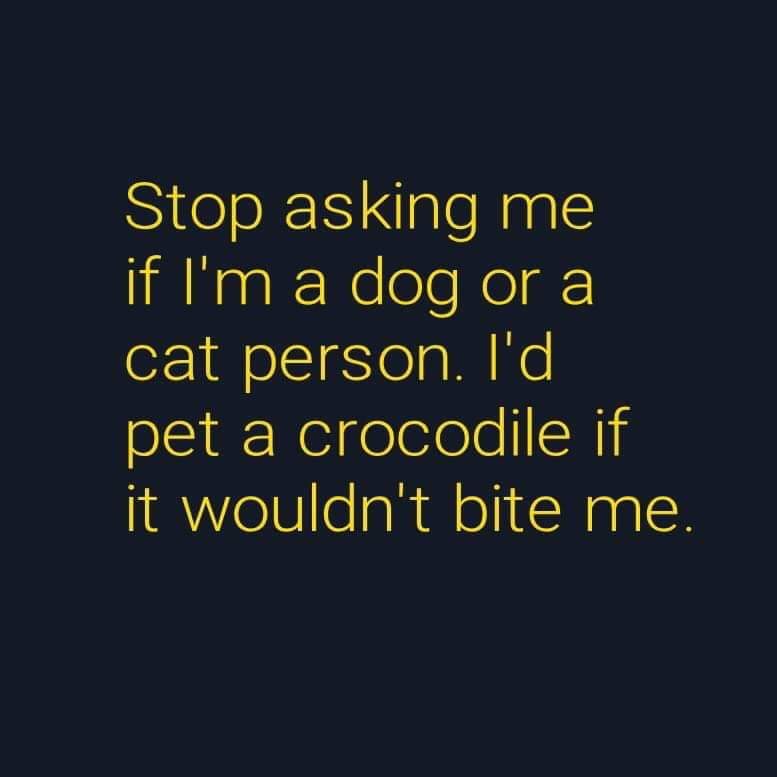 graphics - Stop asking me if I'm a dog or a cat person. I'd pet a crocodile if it wouldn't bite me.