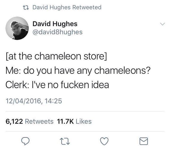 back on the market young thug - 12 David Hughes Retweeted David Hughes at the chameleon store Me do you have any chameleons? Clerk I've no fucken idea 12042016, 6,122