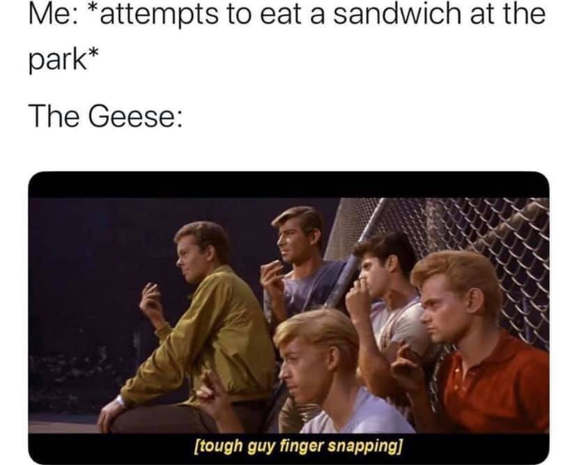 tough guy finger snapping memes - Me attempts to eat a sandwich at the park The Geese tough guy finger snapping