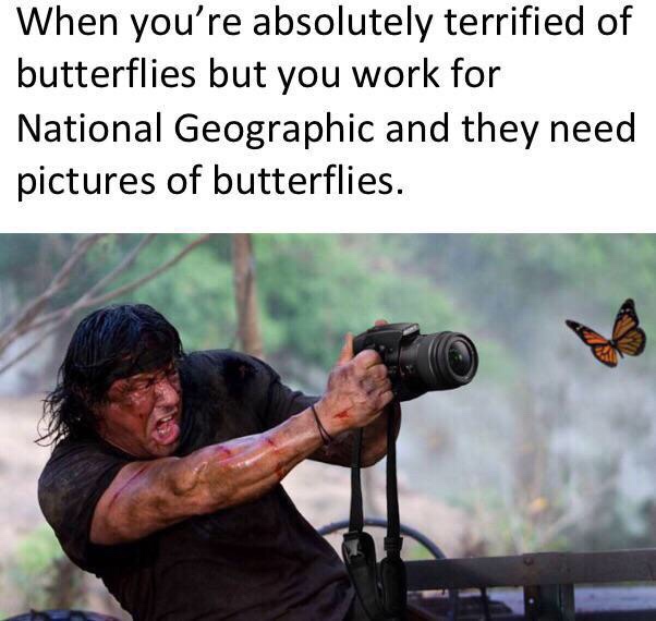 rambo butterfly camera - When you're absolutely terrified of butterflies but you work for National Geographic and they need pictures of butterflies.