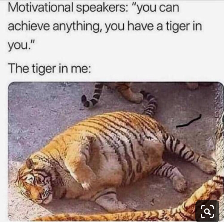 you can achieve anything you have a tiger in you - Motivational speakers "you can achieve anything, you have a tiger in you." The tiger in me