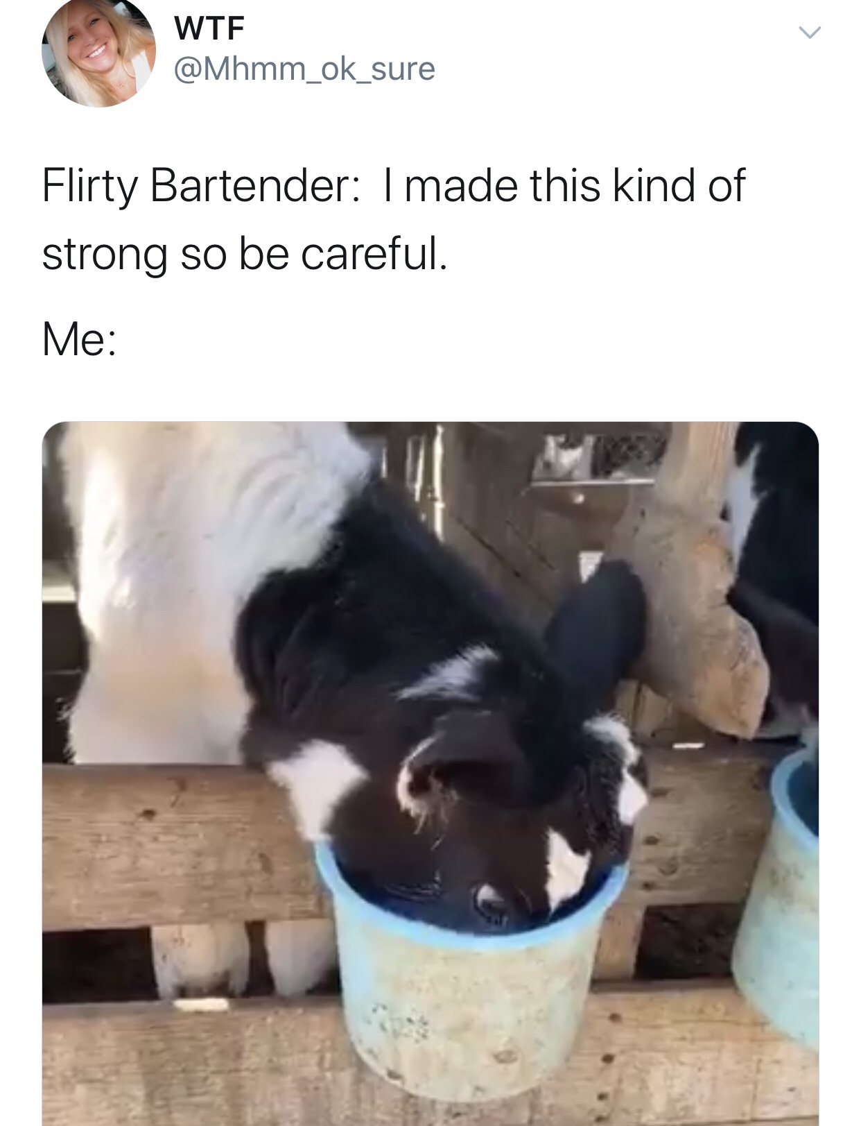 pet - Wte Flirty Bartender I made this kind of strong so be careful. Me