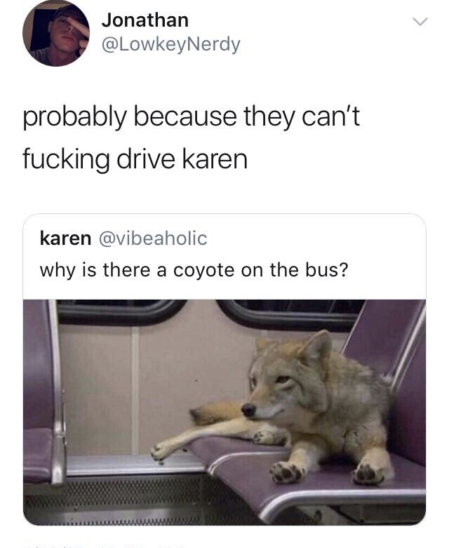 there a coyote on the bus - Jonathan probably because they can't fucking drive karen karen why is there a coyote on the bus?