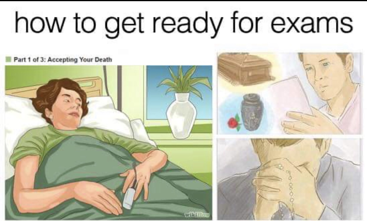 accepting your death meme - how to get ready for exams Part 1 of 3 Accepting Your Death wild