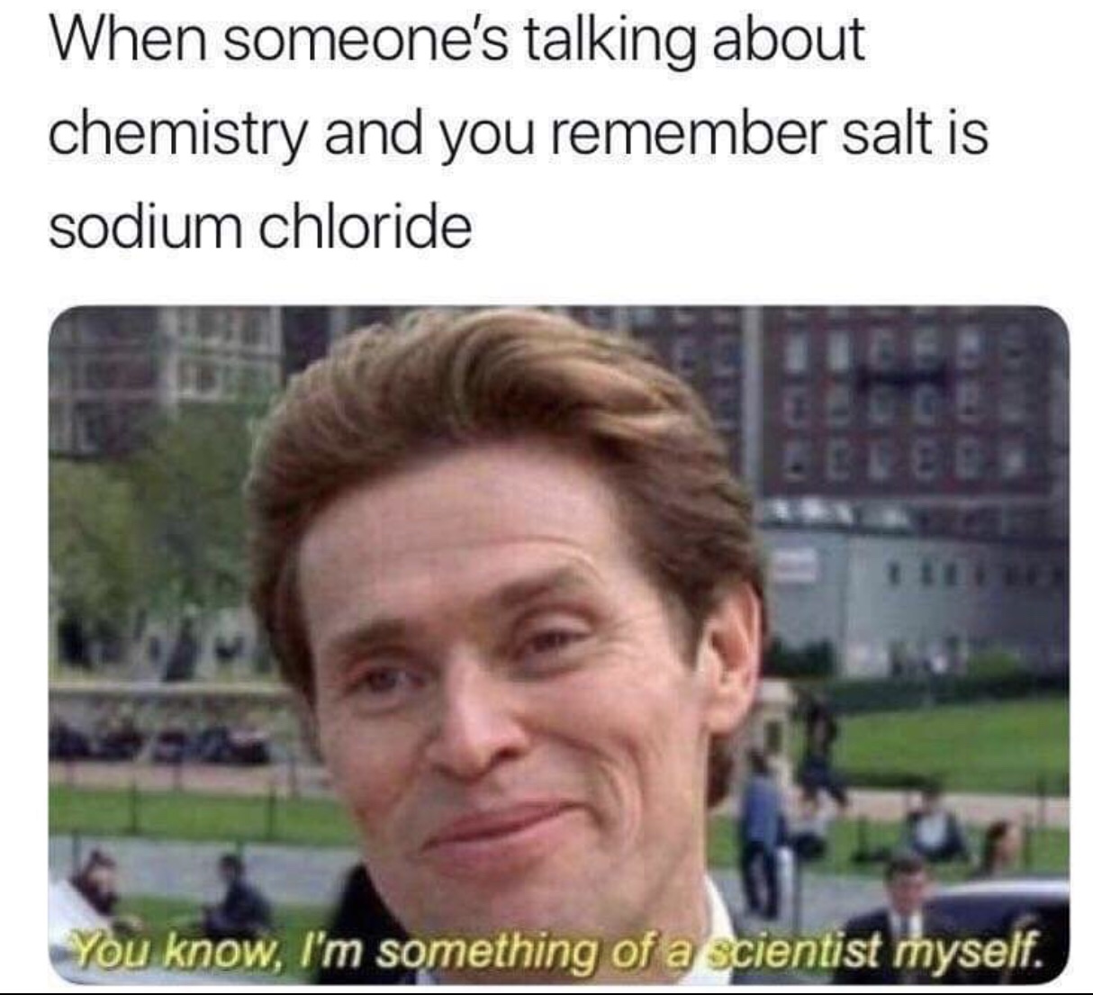 norman osborn - When someone's talking about chemistry and you remember salt is sodium chloride You know, I'm something of a scientist myself.