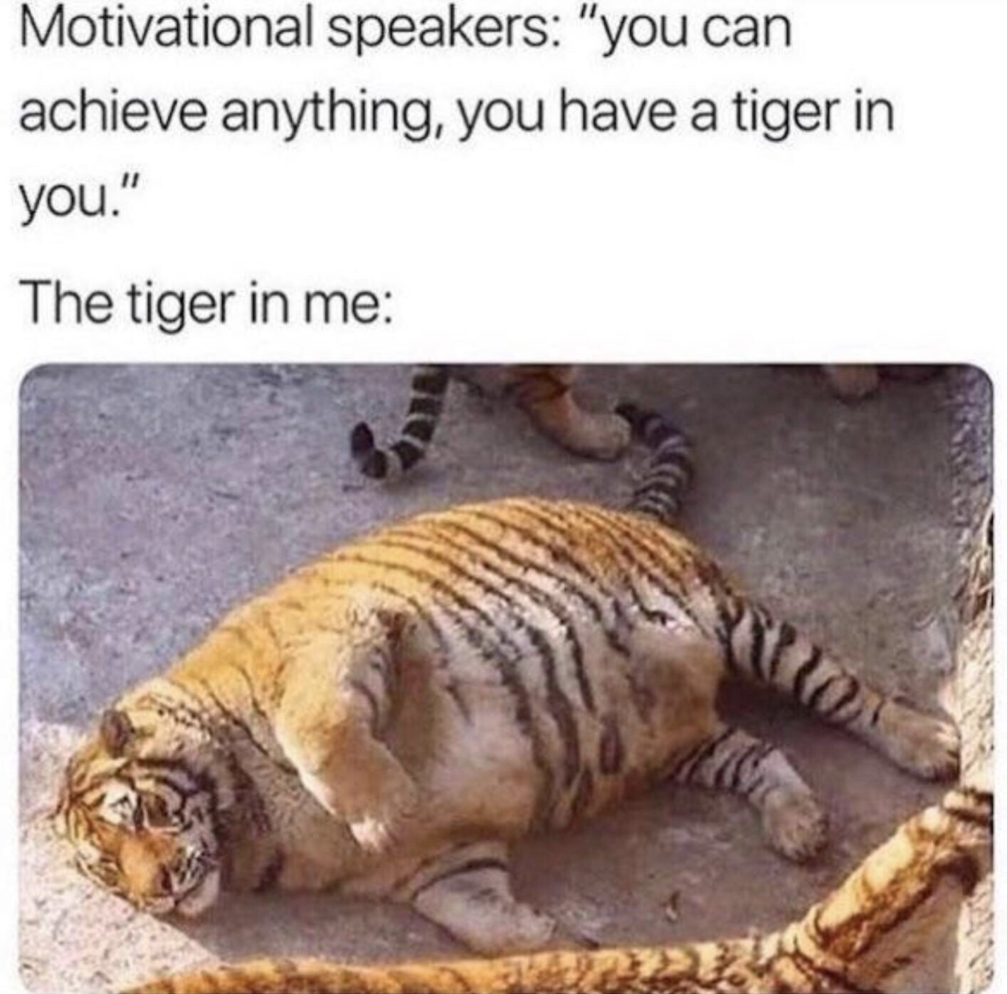 motivational speakers meme - Motivational speakers "you can achieve anything, you have a tiger in you." The tiger in me