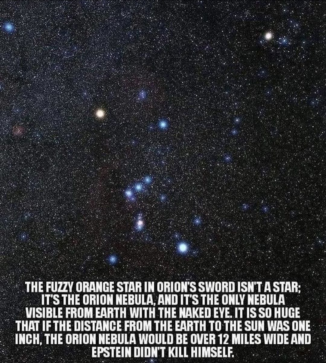because epstein didn t kill himself memes - The Fuzzy Orange Star In Orion'S Sword Isn'T A Star It'S The Orion Nebula, And It'S The Only Nebula Visible From Earth With The Naked Eye. It Is So Huge That If The Distance From The Earth To The Sun Was One Inc