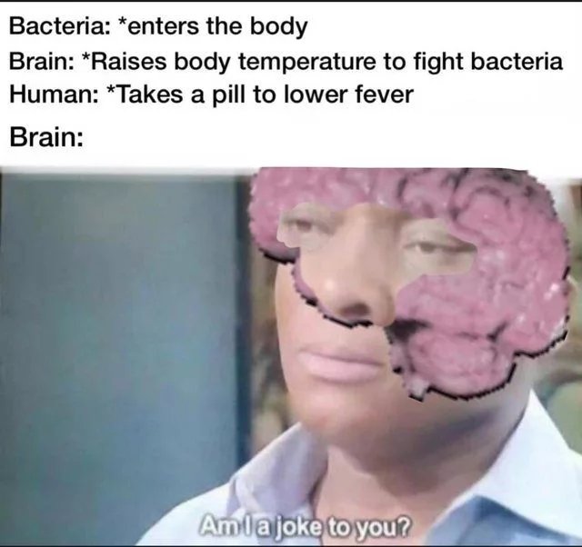 red dead redemption 2 memes - Bacteria enters the body Brain Raises body temperature to fight bacteria Human Takes a pill to lower fever Brain Amla joke to you?