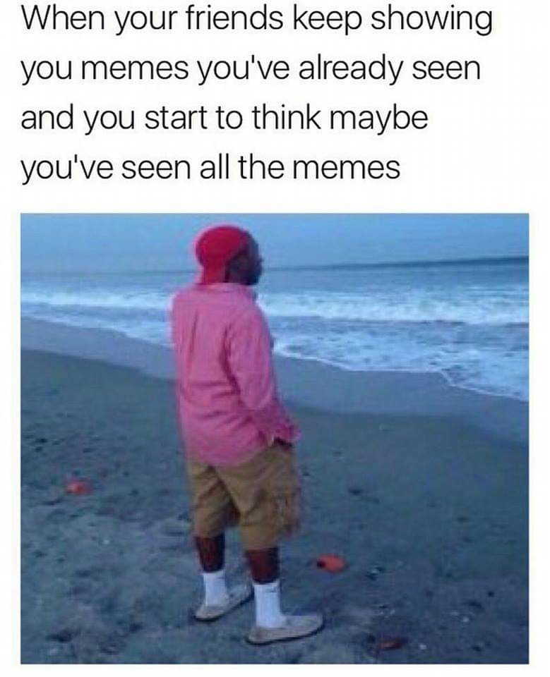 you have seen all memes - When your friends keep showing you memes you've already seen and you start to think maybe you've seen all the memes