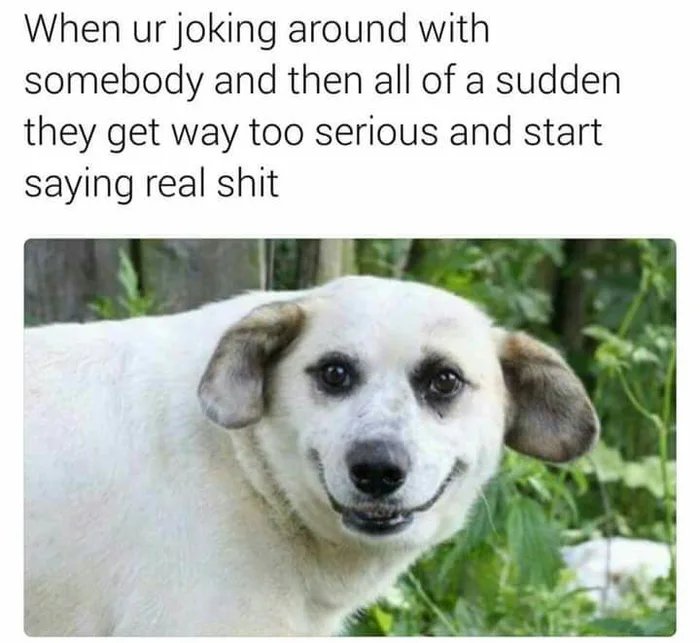 dogs making the face - When ur joking around with somebody and then all of a sudden they get way too serious and start saying real shit Endnet