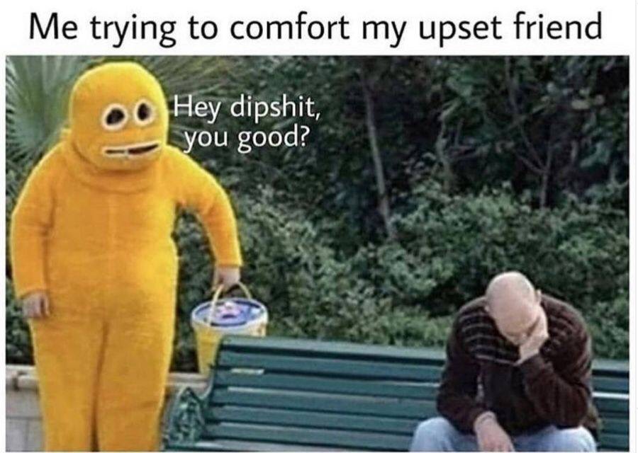 me trying to comfort my upset friend - Me trying to comfort my upset friend O Hey dipshit, you good?