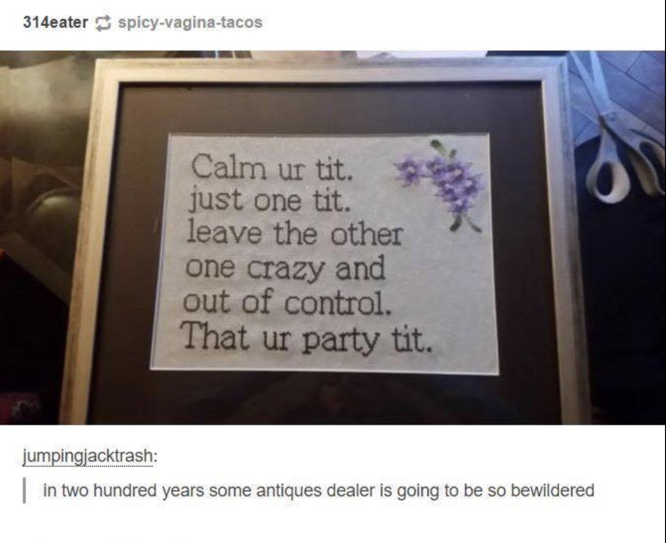 your party tit - 314eater spicyvaginatacos Calm ur tit. just one tit. leave the other one crazy and out of control. That ur party tit. jumpingjacktrash in two hundred years some antiques dealer is going to be so bewildered