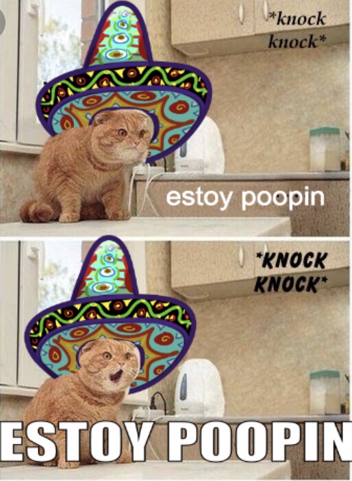 estoy poopin - knock knock Nav estoy poopin Knock Knock Estoy Poopin