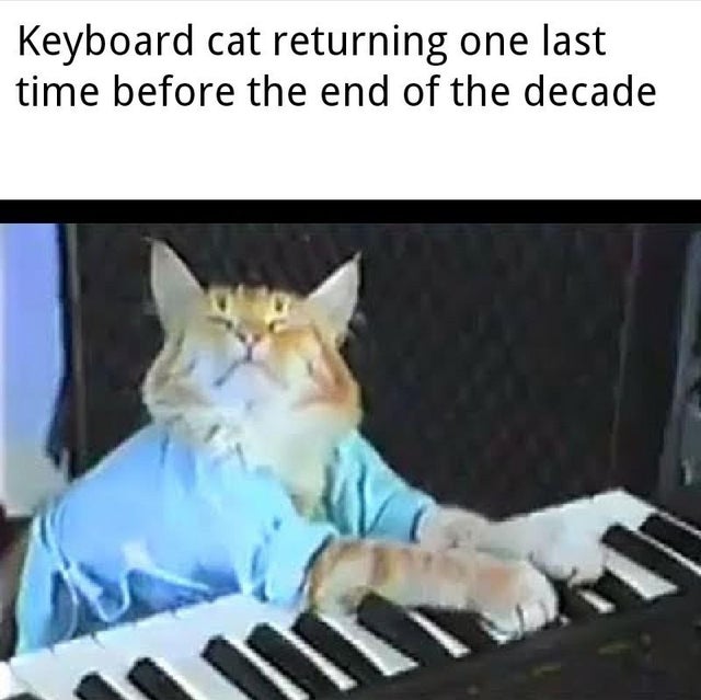 keyboard cat - Keyboard cat returning one last time before the end of the decade