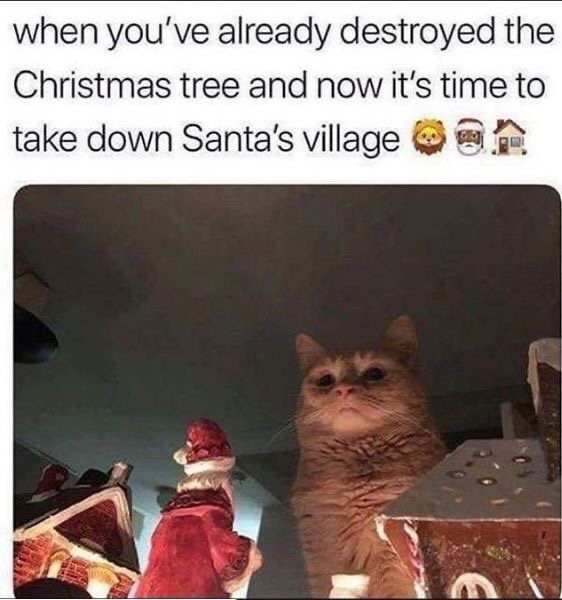 christmas cat meme - when you've already destroyed the Christmas tree and now it's time to take down Santa's village 1