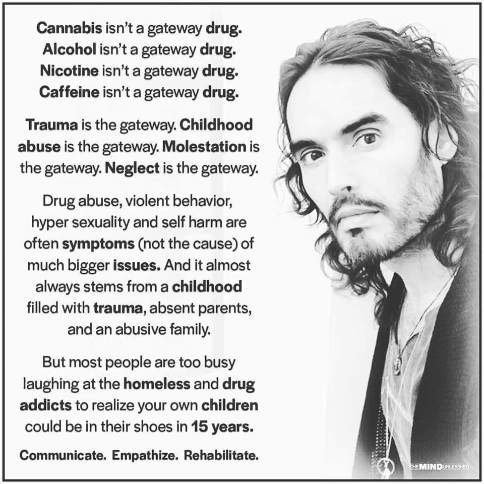 trauma is the gateway drug - Cannabis isn't a gateway drug. Alcohol isn't a gateway drug. Nicotine isn't a gateway drug. Caffeine isn't a gateway drug. Trauma is the gateway. Childhood abuse is the gateway. Molestation is the gateway. Neglect is the gatew