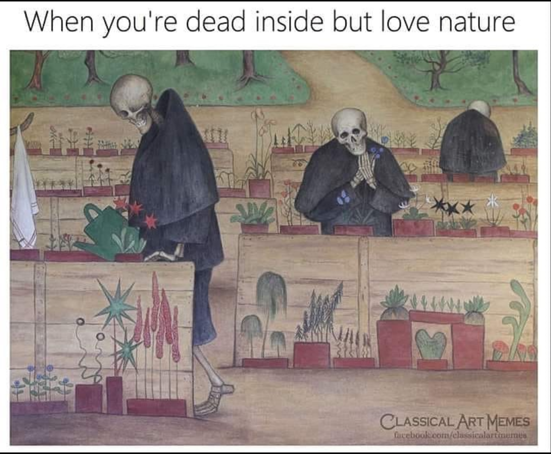 classical art memes dead inside - When you're dead inside but love nature Classical Art Memes Dacebook.comcharms