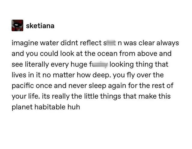 document - sketiana imagine water didnt reflect sit n was clear always and you could look at the ocean from above and see literally every huge fulooking thing that lives in it no matter how deep. you fly over the pacific once and never sleep again for the