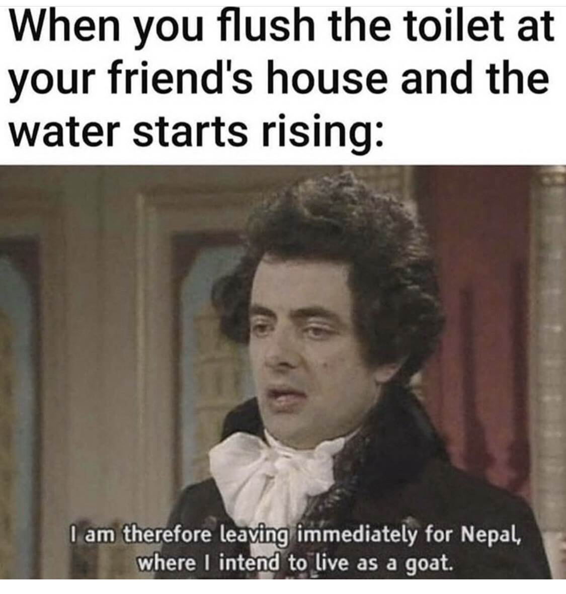 you flush the toilet and water starts rising meme - When you flush the toilet at your friend's house and the water starts rising I am therefore leaving immediately for Nepal, where I intend to live as a goat.