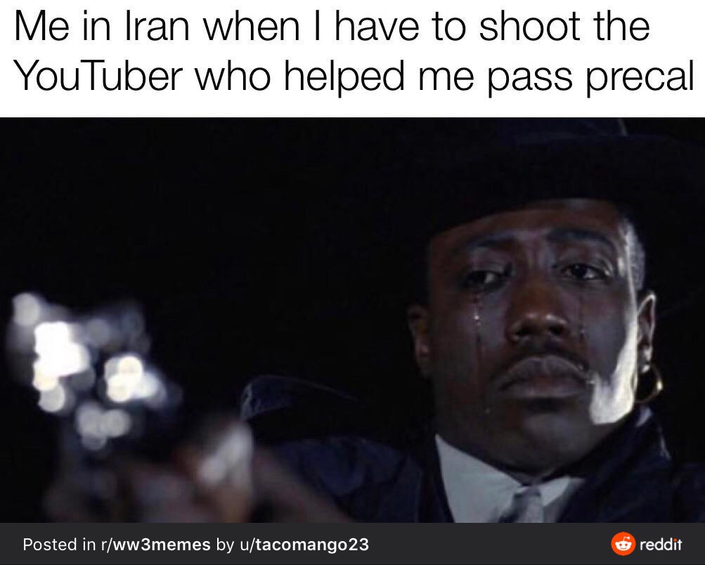 wesley snipes crying gun meme - Me in Iran when I have to shoot the YouTuber who helped me pass precal Posted in rww3memes by utacomango23 reddit