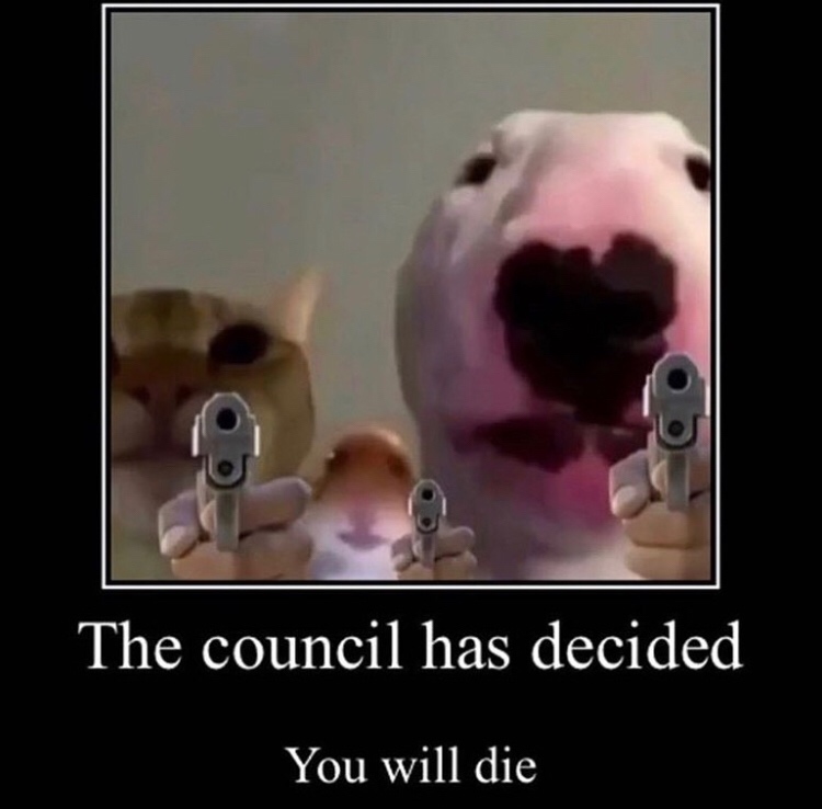 council will decide your fate - The council has decided You will die