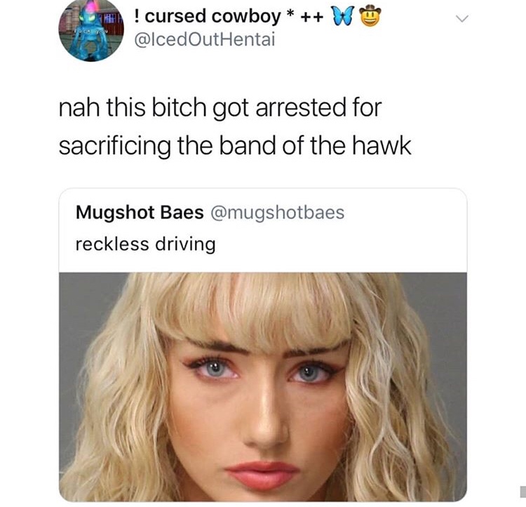 mugshots twitter berserk - A Th! cursed cowboy W Hentai nah this bitch got arrested for sacrificing the band of the hawk Mugshot Baes reckless driving