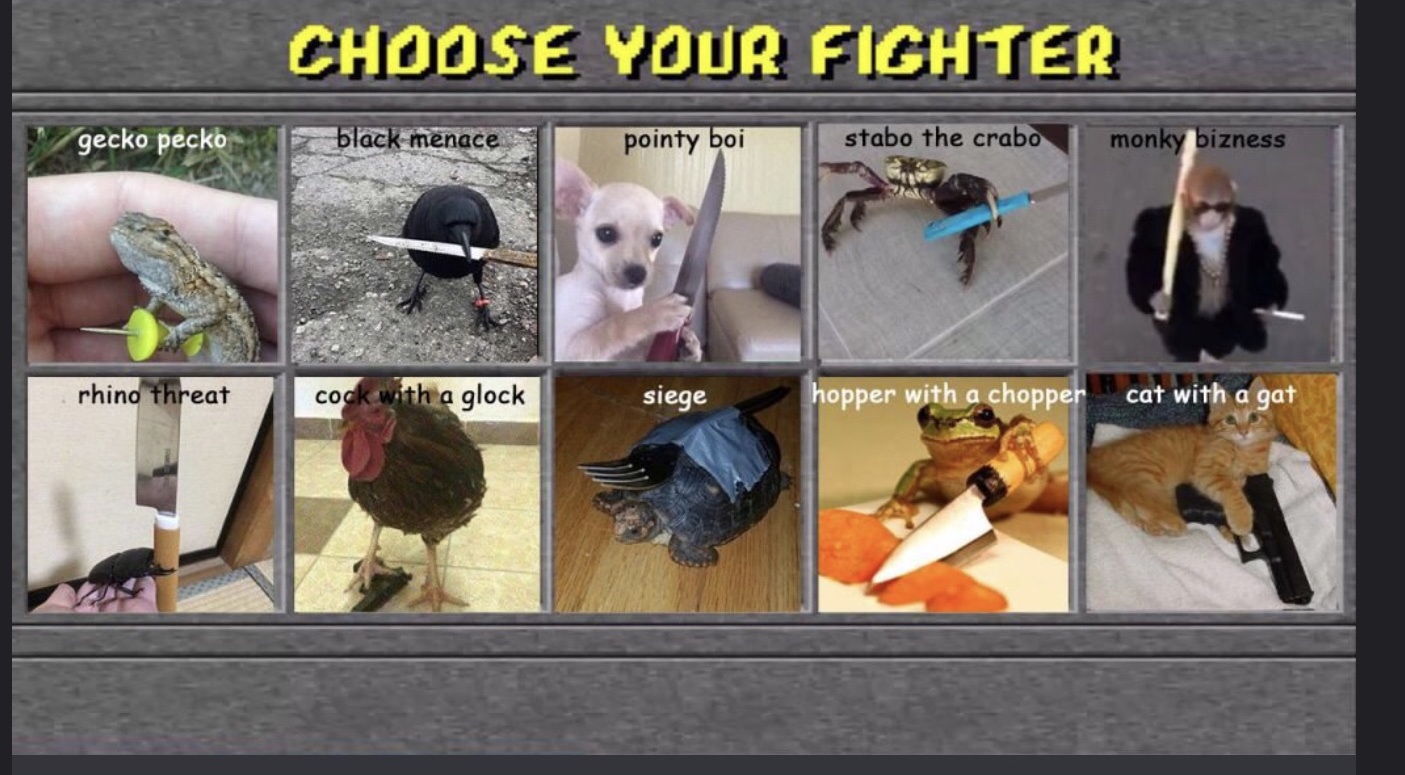choose your fighter gecko pecko - Choose Your Fighter gecko pecko black menace pointy boi stabo the crabo monky bizness rhino threat cock with a glock siege hopper with a chopper cat with a gat