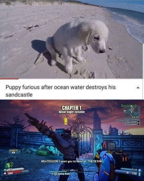 mr torgue memes - Puppy furious after ocean water destroys his sandcastle Revision Chapter 1 Denial, Anger, Initiative bernative Find awer Update Neh Mission I want you to blow up _THE Ocean end 2014 11 33 Canader 201220