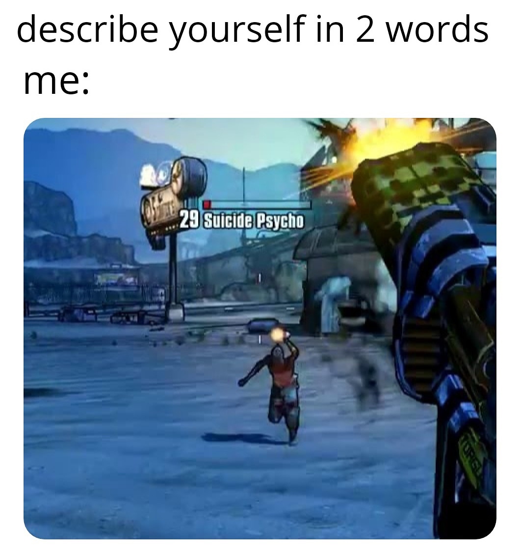 borderlands memes - describe yourself in 2 words me 29 Suicide Psycho