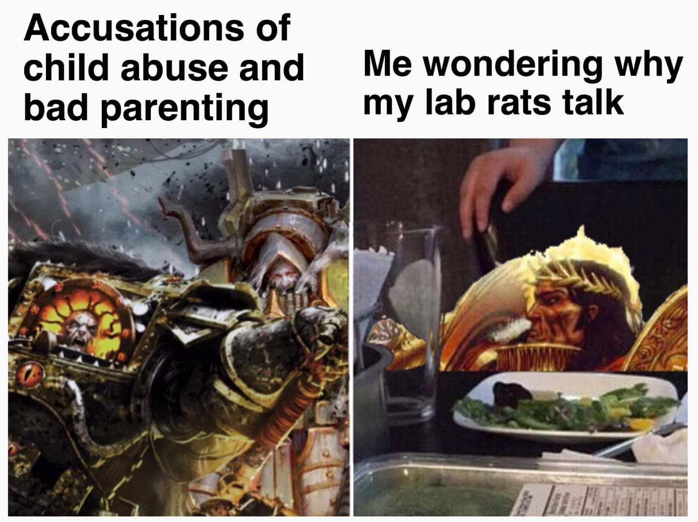40k cat meme - Accusations of child abuse and bad parenting Me wondering why my lab rats talk