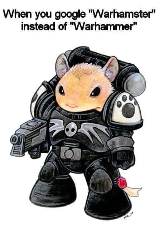 sisters of battle - When you google "Warhamster" instead of "Warhammer"