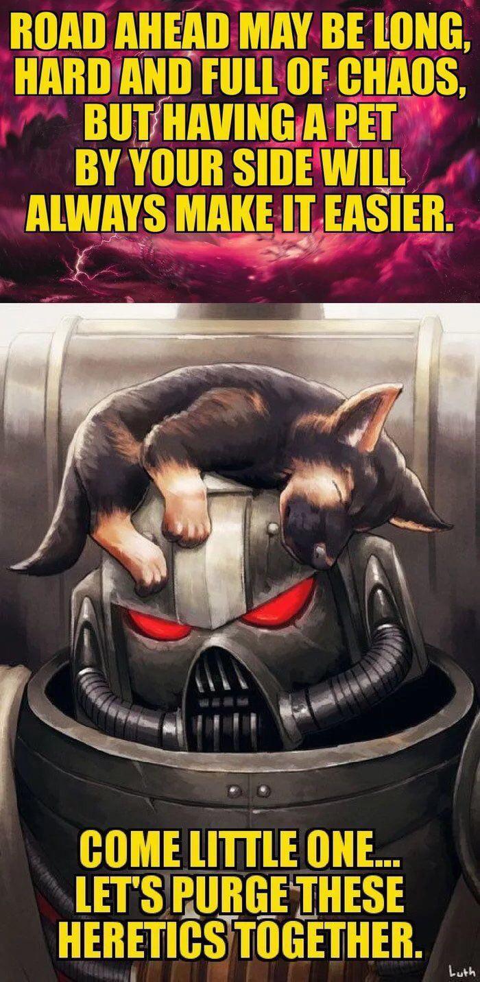 40k salamanders meme - Road Ahead May Be Long, Hard And Full Of Chaos, But Having A Pet By Your Side Will Always Make It Easier. Come Little One... Let'S Purge These Heretics Together. Lan