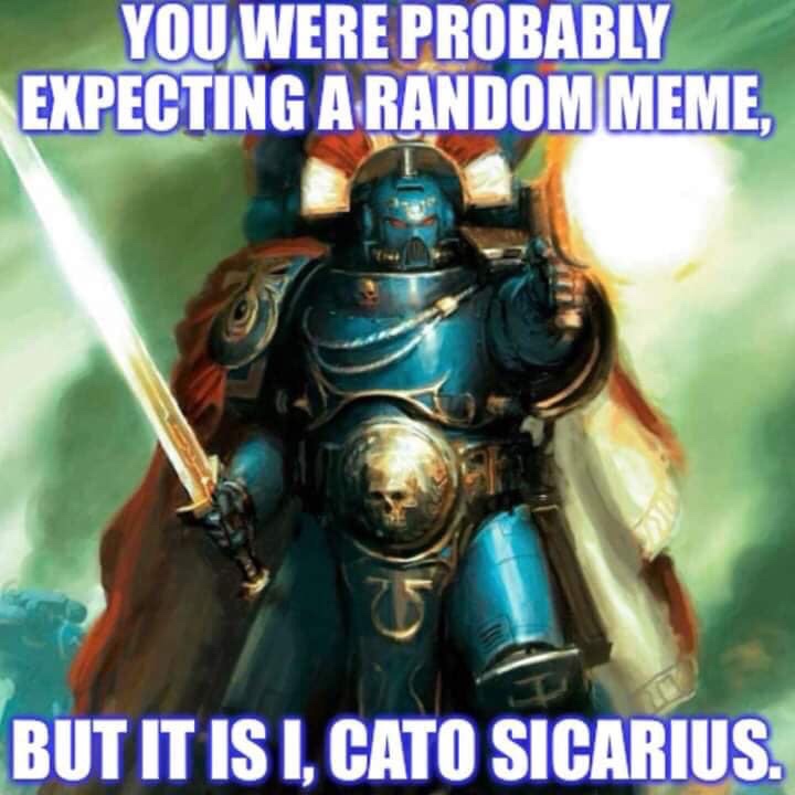 cato sicarius - You Were Probably Expecting A Random Meme, But It Is I, Cato Sicarius.