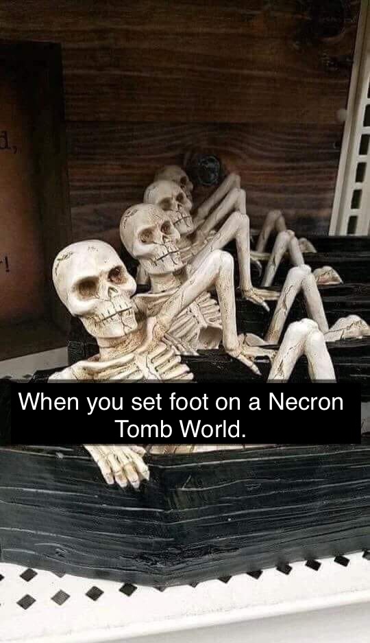 skyrim dungeon meme - When you set foot on a Necron Tomb World.