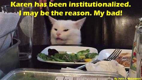 cat meme - Karen has been institutionalized. I may be the reason. My bad! Dy Johnson