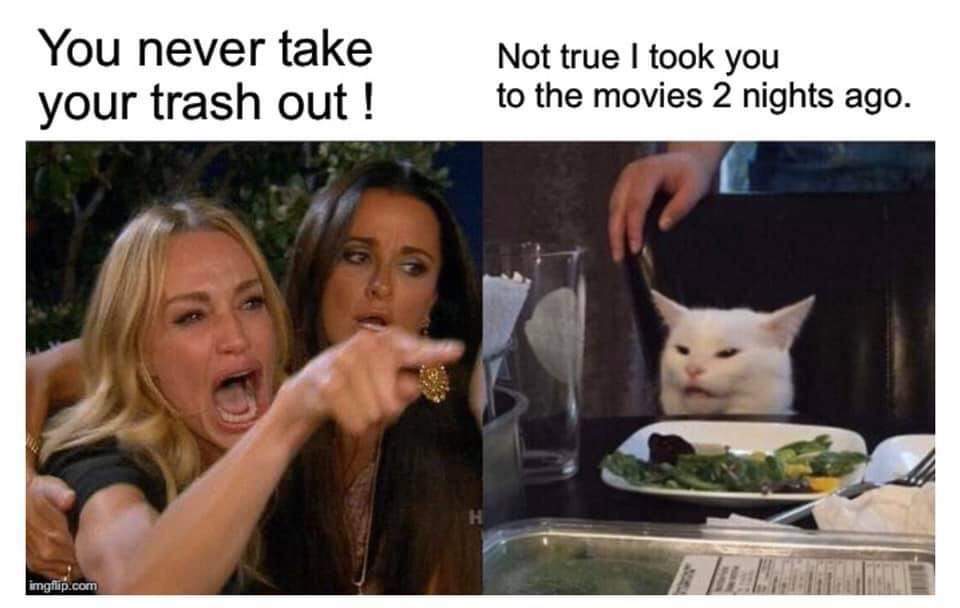whiny cat meme - You never take your trash out! Not true I took you to the movies 2 nights ago. imgflip.com