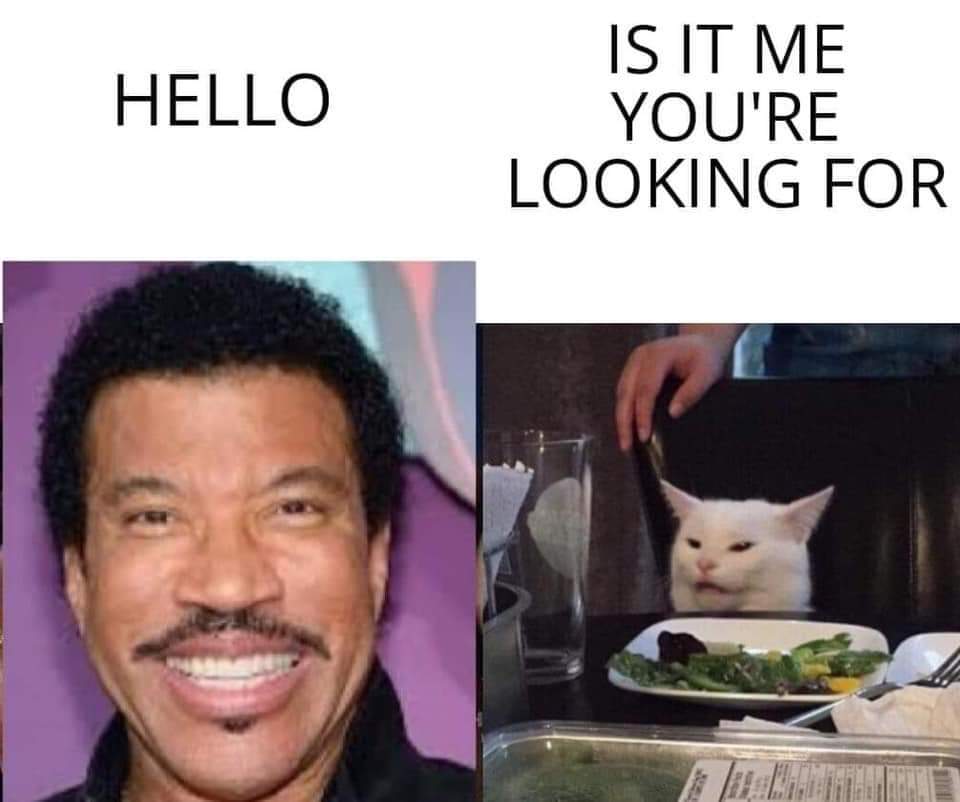 my wife yelling at me meme - Hello Is It Me You'Re Looking For