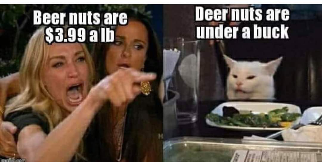 woman yelling at cat meme - Beer nuts are $3.99 a lb Deer nuts are under a buck olaca
