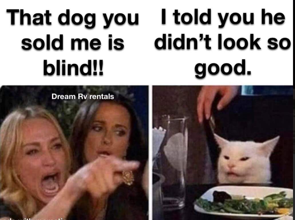 funny mindhunter memes - That dog you I told you he sold me is didn't look so blind!! good. Dream Rv rentals