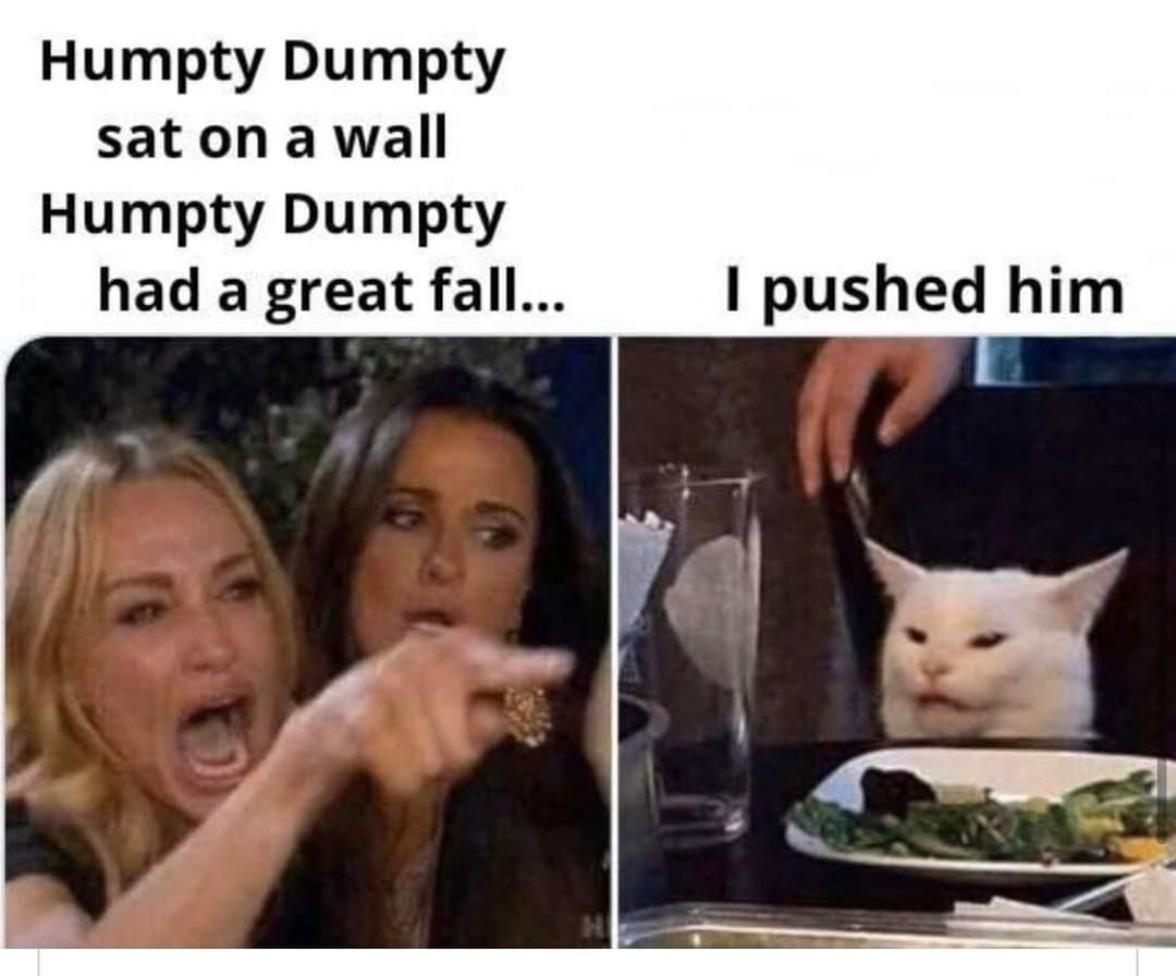 woman yelling at cat meme - Humpty Dumpty sat on a wall Humpty Dumpty had a great fall... I pushed him