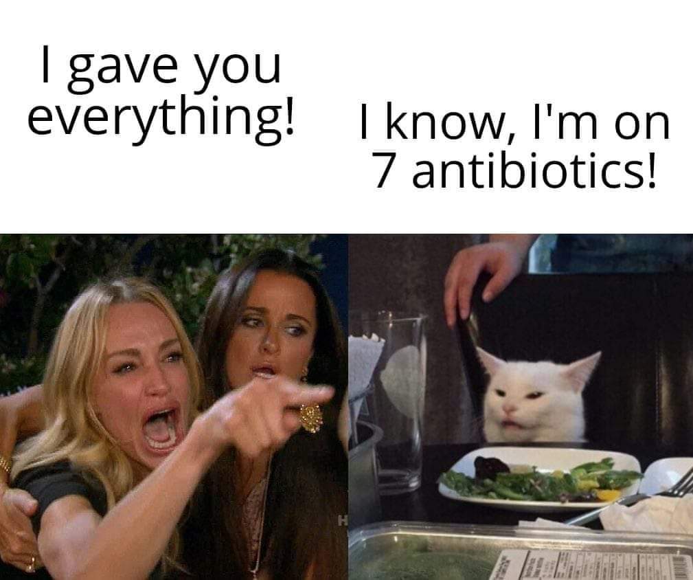 team trees memes - I gave you everything! I know, I'm on 7 antibiotics!