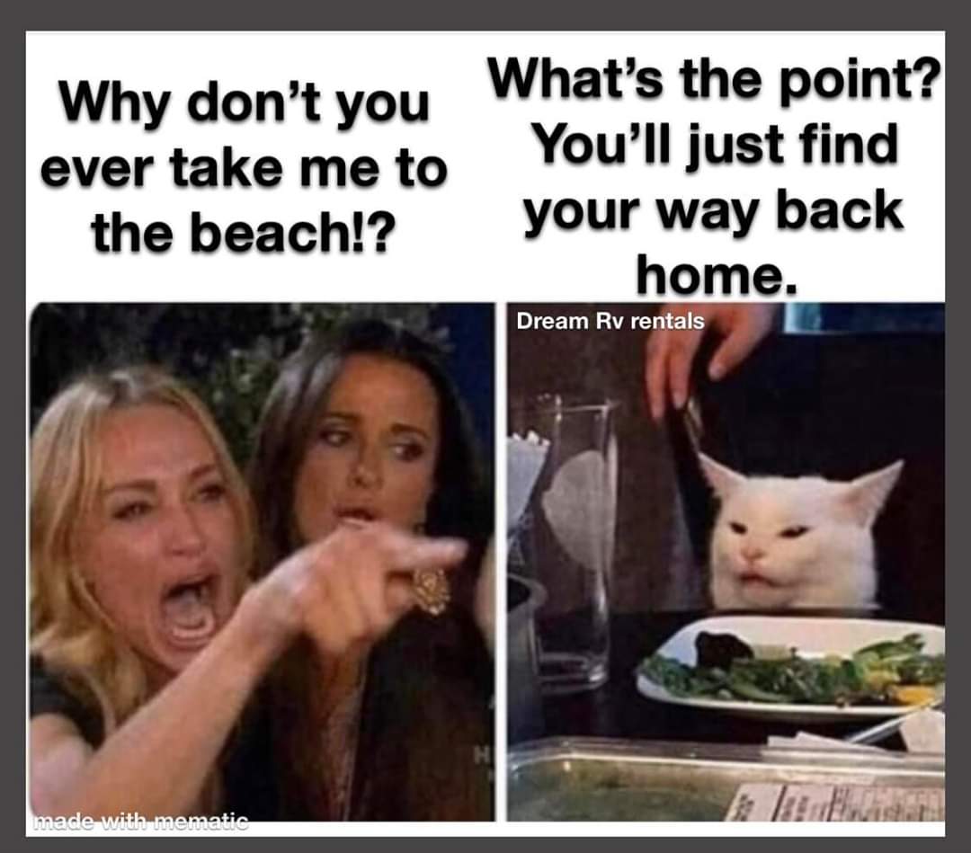 girl and confused cat meme - Why don't you What's the point? ever take me to You'll just find the beach!? your way back home. Dream Rv rentals made with mematic