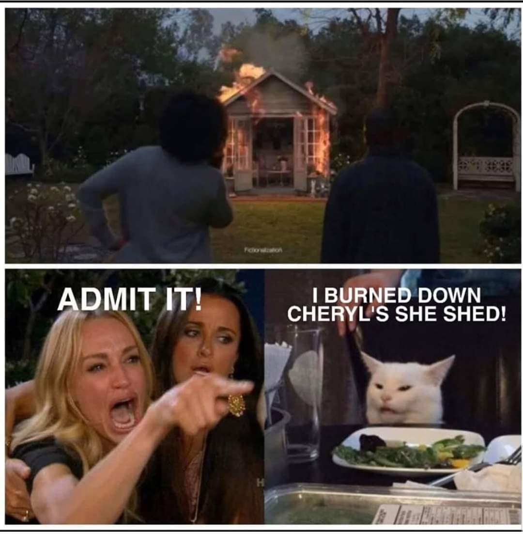 mom video games cause violence meme - Admit It! I Burned Down Cheryl'S She Shed!