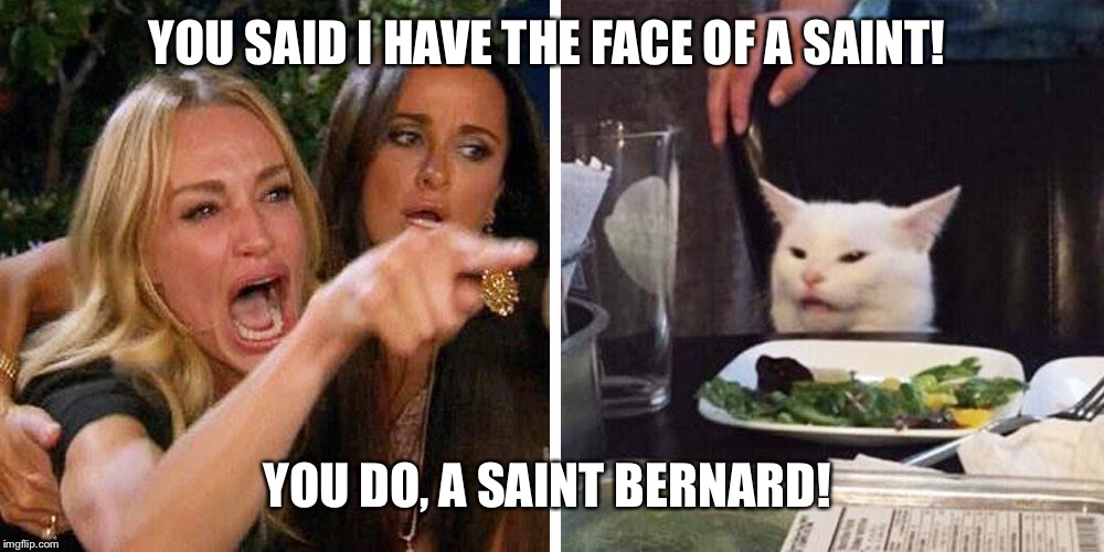 smudge meme - You Said I Have The Face Of A Saint! You Do, A Saint Bernard! imgflip.com