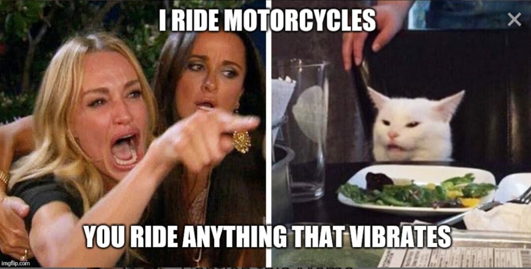 woman yelling at cat memes - I Ride Motorcycles You Ride Anything That Vibrates imgflip.com