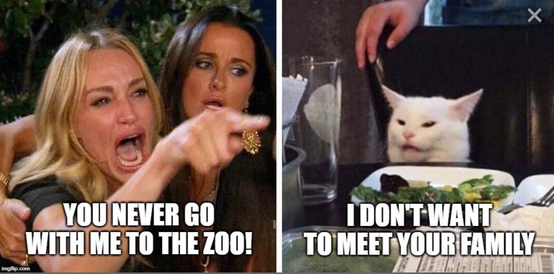 smudge the cat meme epstein - You Never Go With Me To The Zoo! I Don'T Want To Meet Your Family Ha imgflip.com